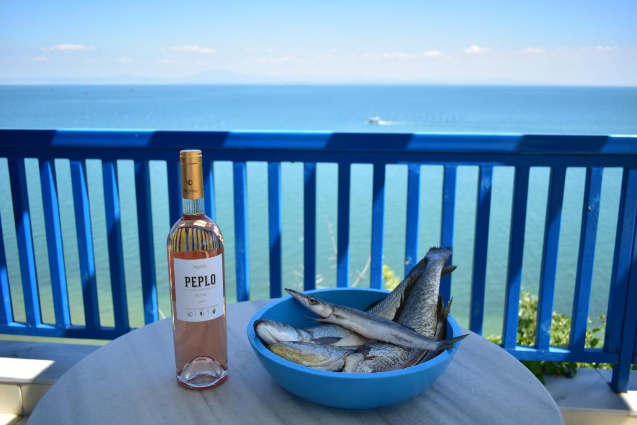 Navy Greece Villa With Swimming Pool & Sea View Makrygialos Exteriör bild